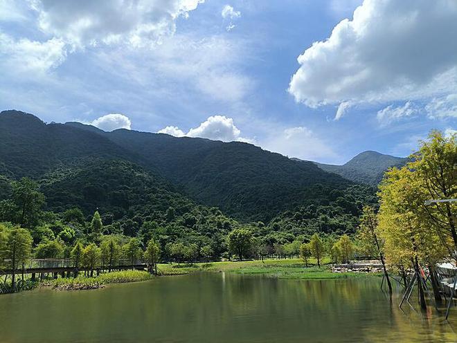 三百余游客机场惊觉无票之行：一场突如其来的旅行风波